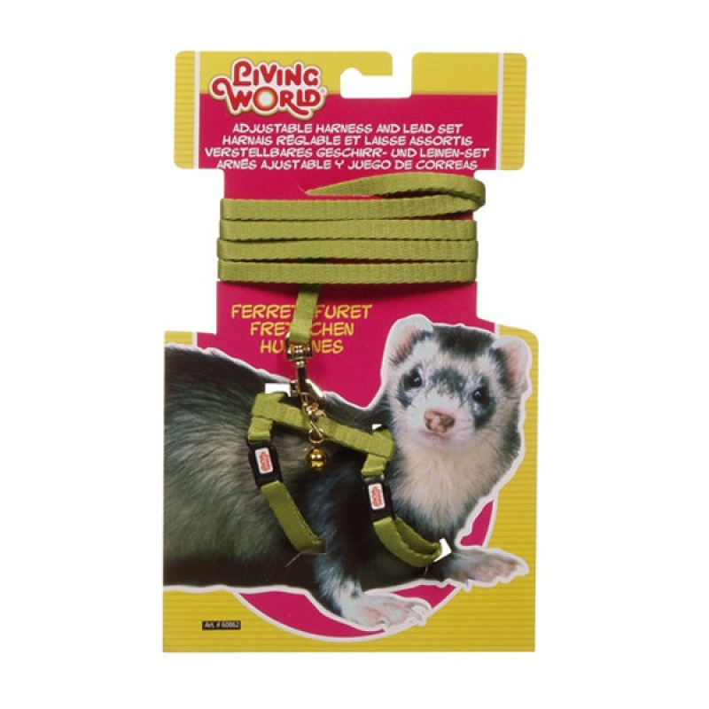 Living World Ferret Harness and Lead