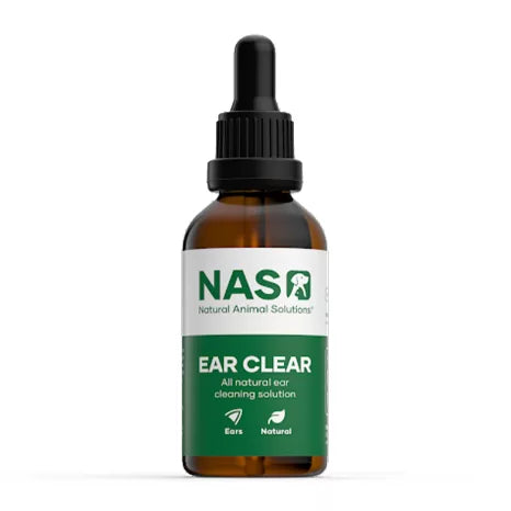 NAS Essentials Kit
