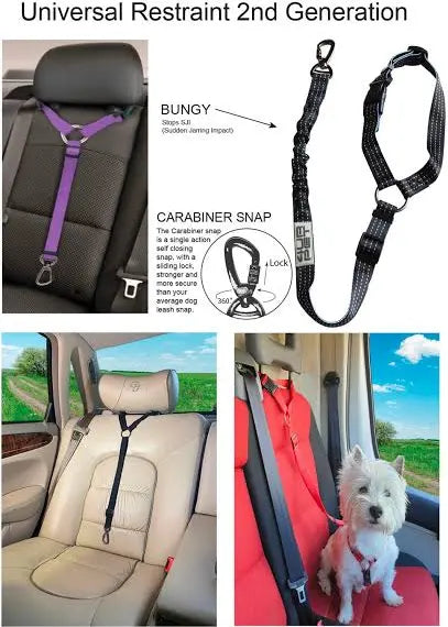 K9 Homes Dog Seat Belt