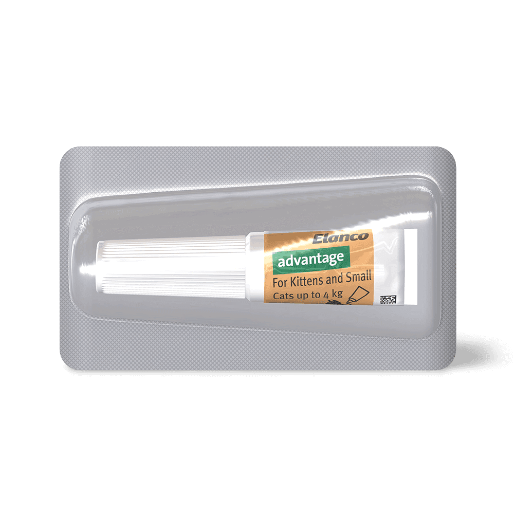 Advantage Flea Control for Kittens and Cats up to 4kg 4 Pack