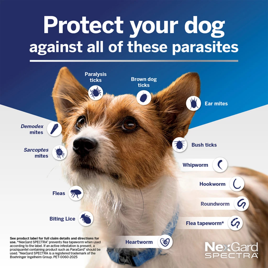 NexGard Spectra 15.1-30kg Dog 6 Pack