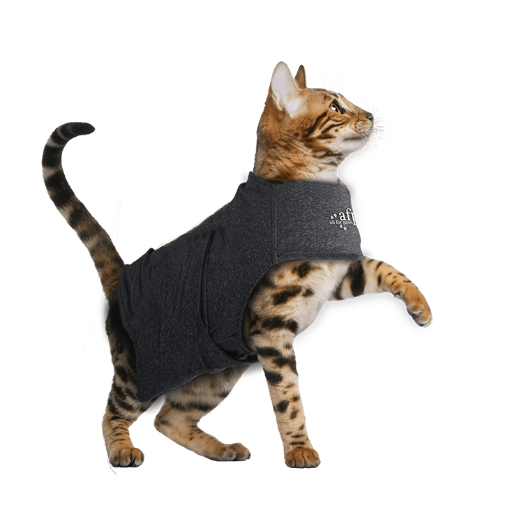 Afp Calm Paws Cat Anxiety Vest
