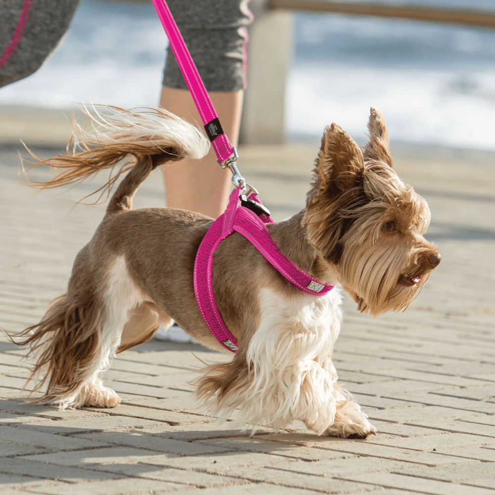 Rogz Utility Fast Fit Harness