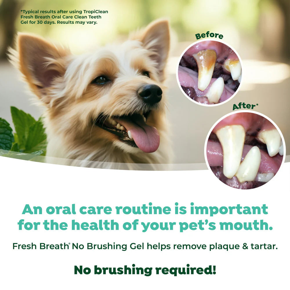 TropiClean Fresh Breath Dental & Oral Care Brushing Gel for Pets