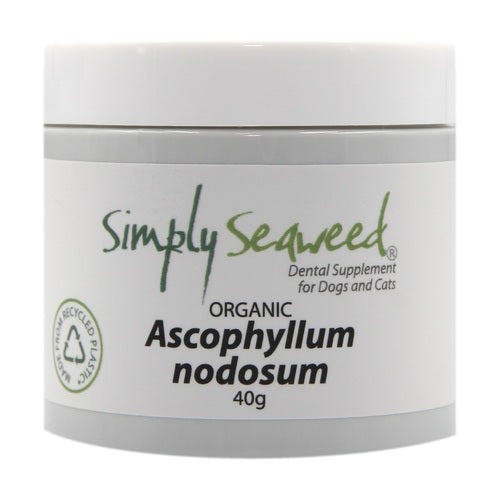 Simply Seaweed Dental Supplement
