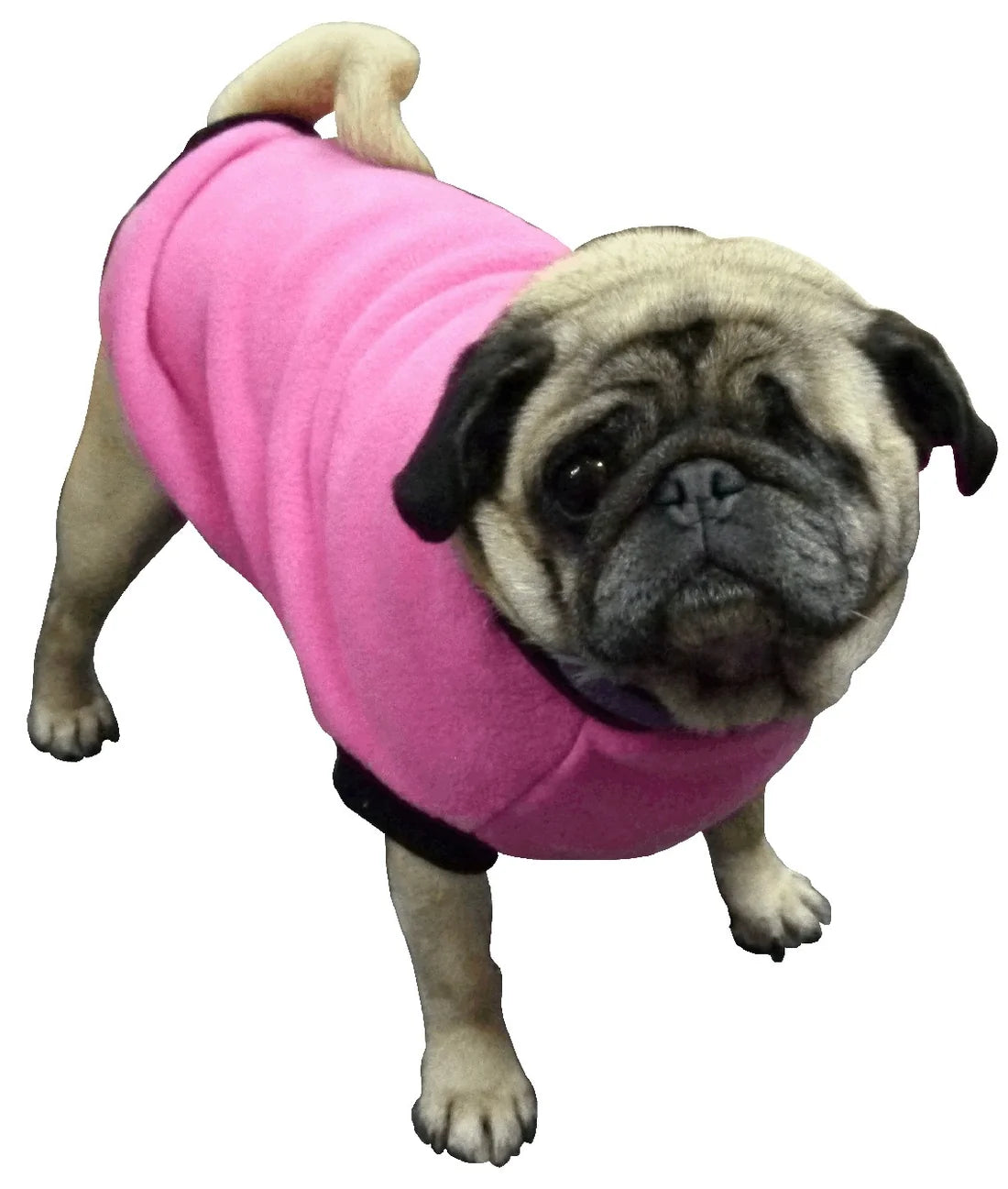 k9 Homes Dog Skivvies