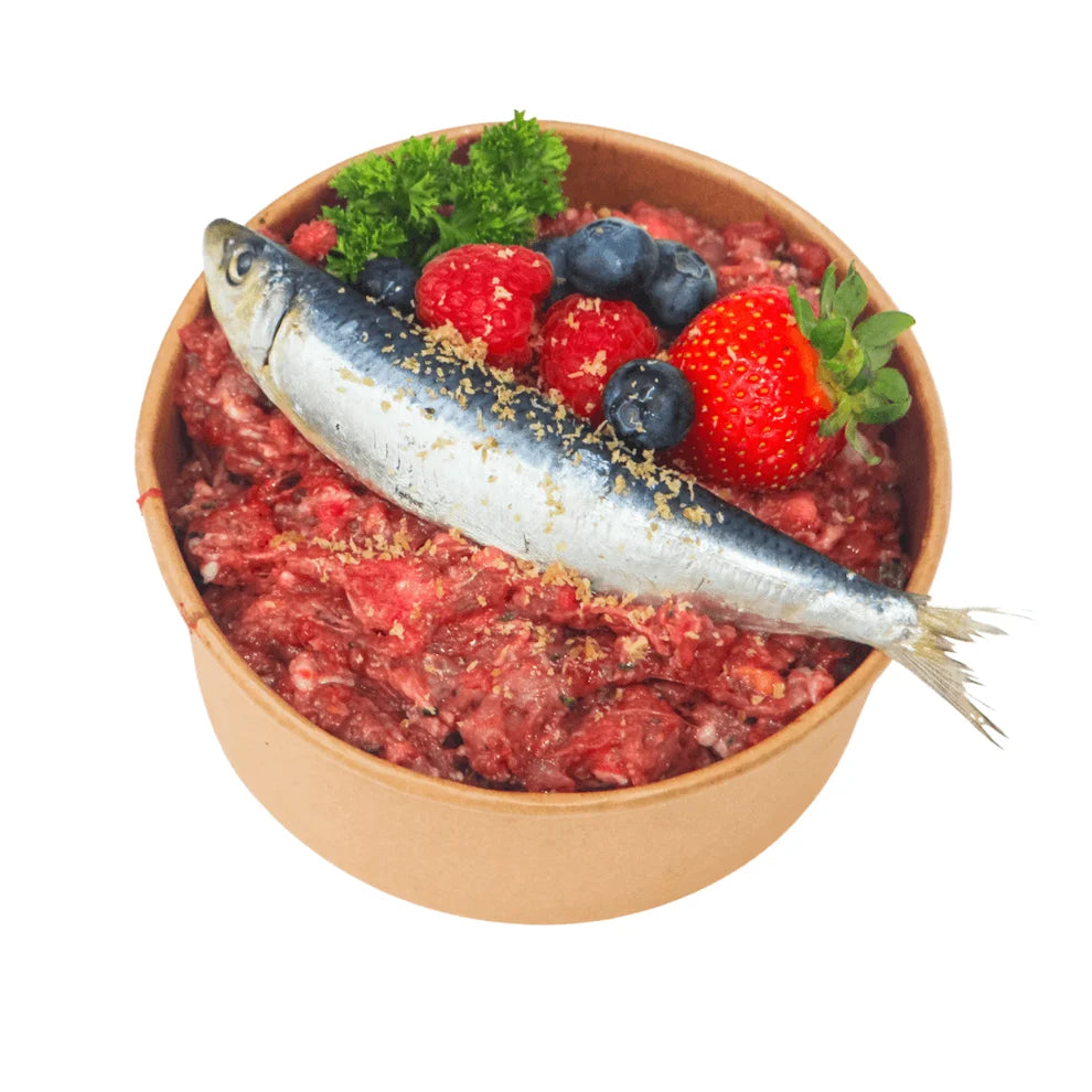 The Saltiest Dog Surf n Turf Raw Dog Meal