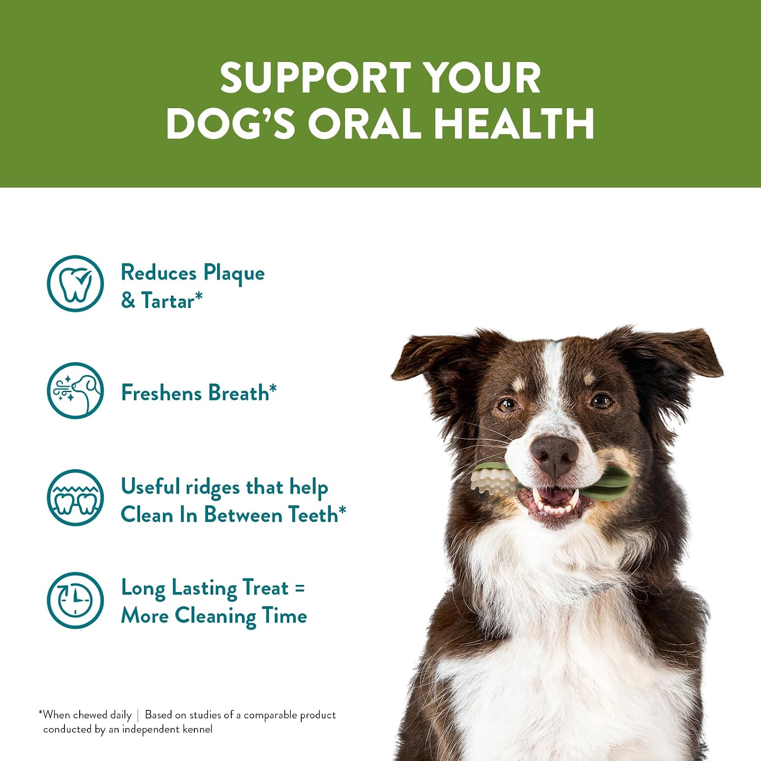 Whimzees Dental Treats Alligator Large