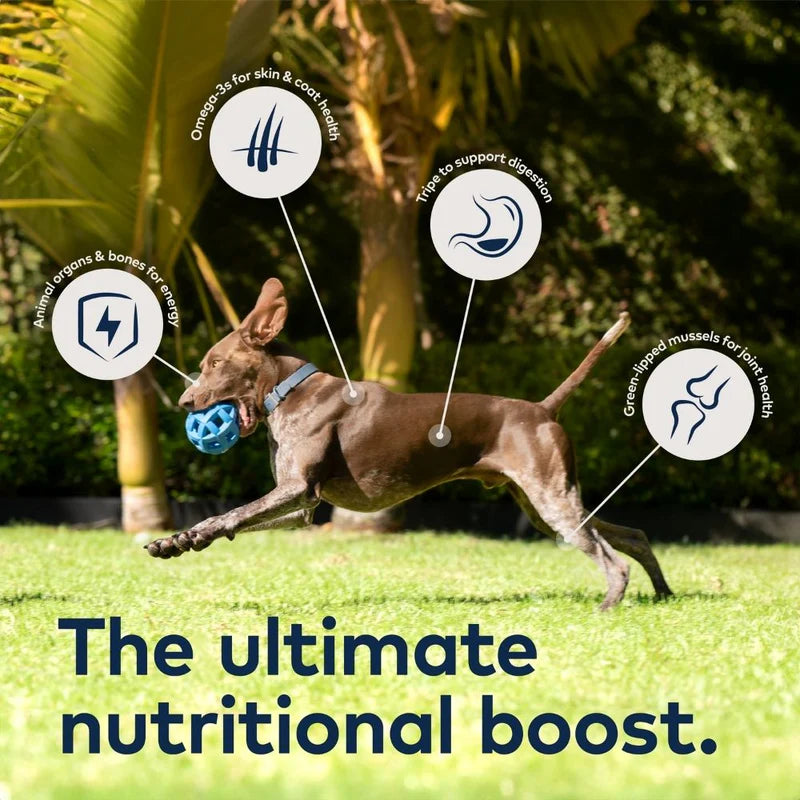 ZIWI Beef Recipe -  Dry Dog Food 1kg